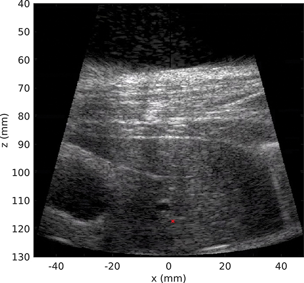 Fig. 7: