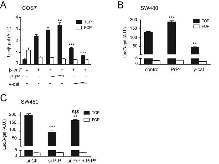 FIGURE 7: