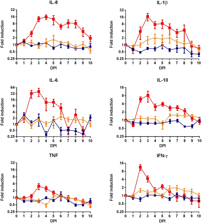 FIGURE 4