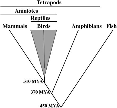 Figure 1.—