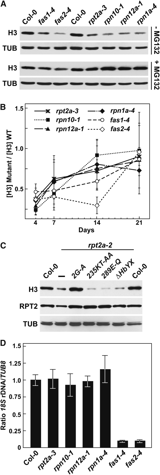 Figure 10.