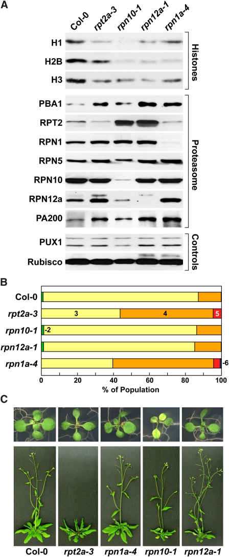 Figure 9.