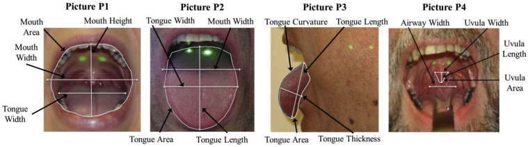 Figure 2