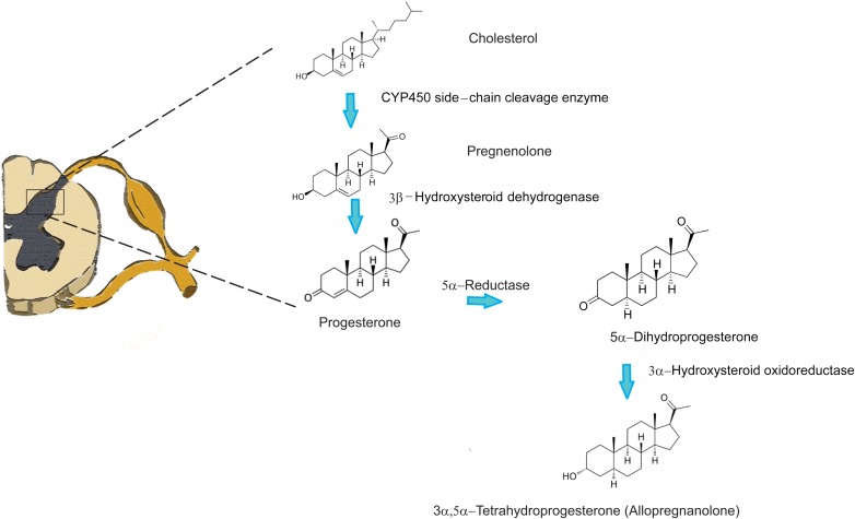 FIGURE 1