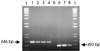 FIG. 6