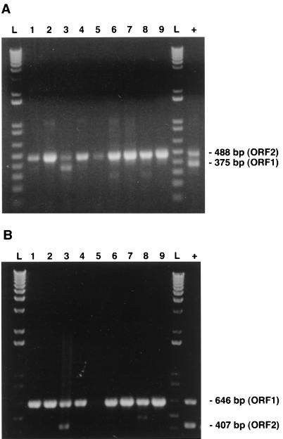 FIG. 5