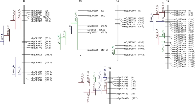 Fig. 2