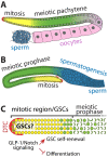 Fig. 1.