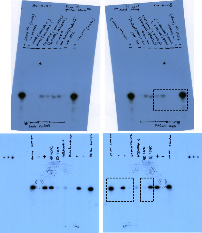 Figure 1B.