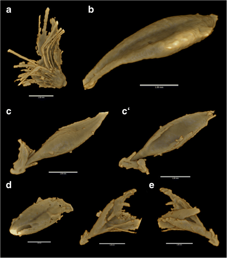 Fig. 5