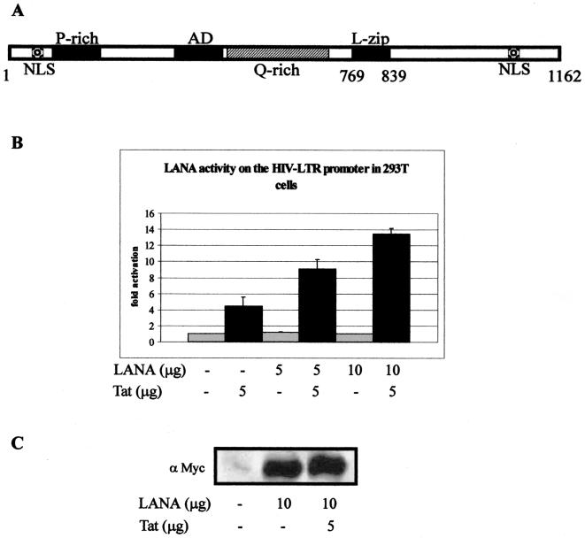 FIG. 1