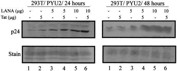 FIG. 8