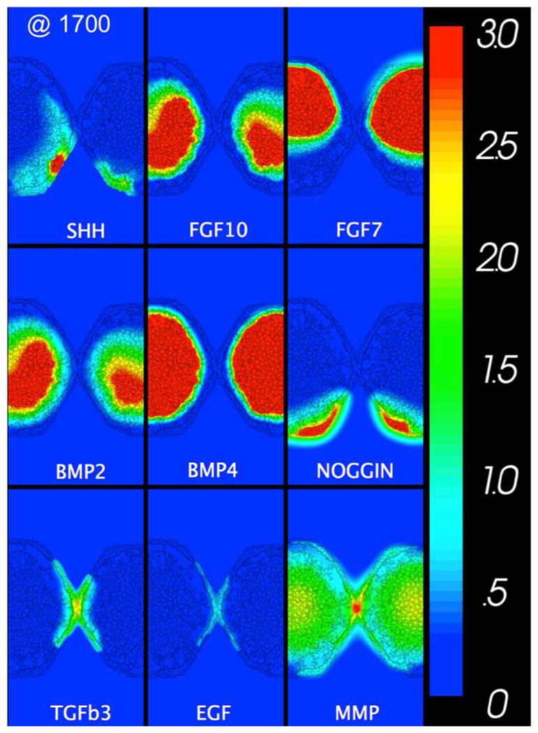 Figure 4.