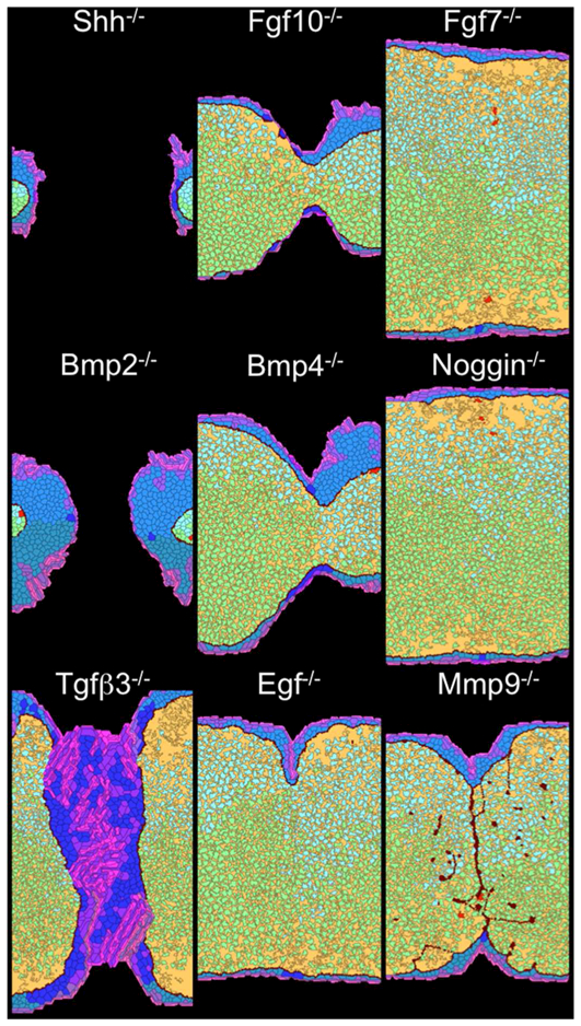 Figure 5.