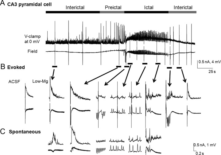 Figure 7.