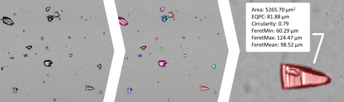 Fig. 7