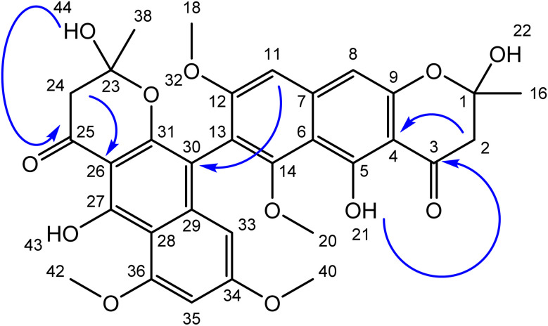 Fig. 2