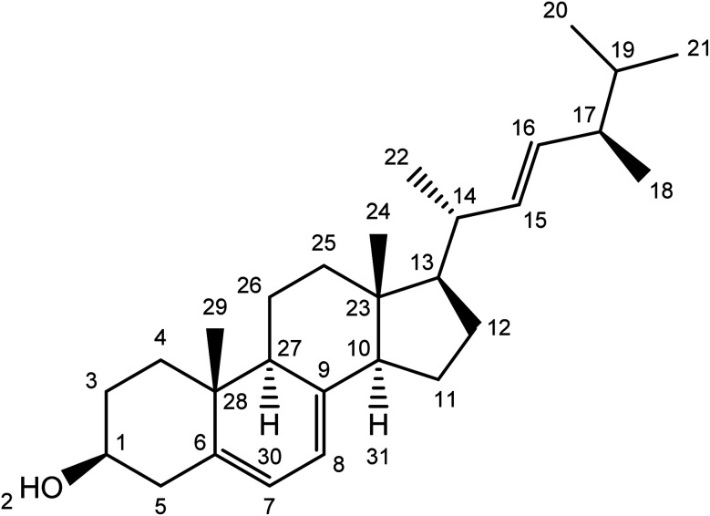 Fig. 3