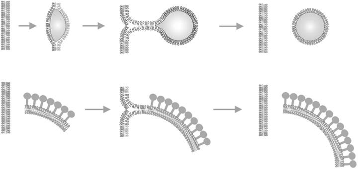 Figure 10.