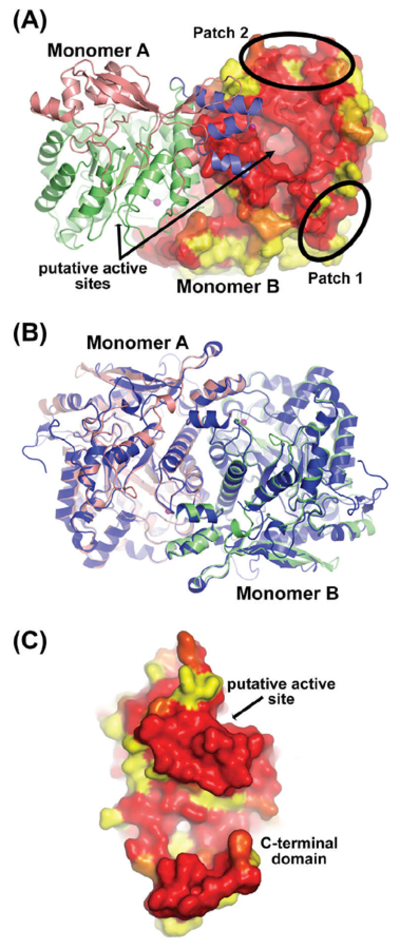 Fig.3.