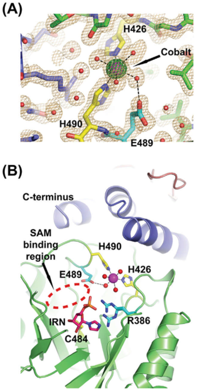 Fig.4.