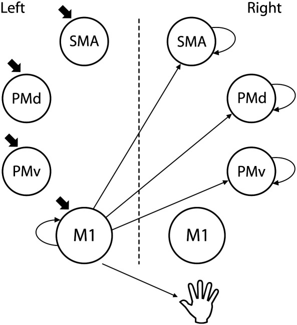 Fig. 2