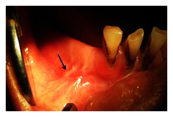 Figure 7