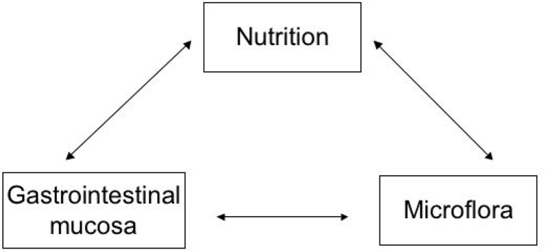 Fig. 2