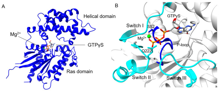 Figure 2