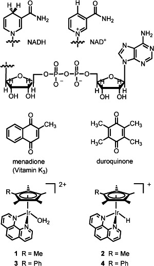 Scheme 2