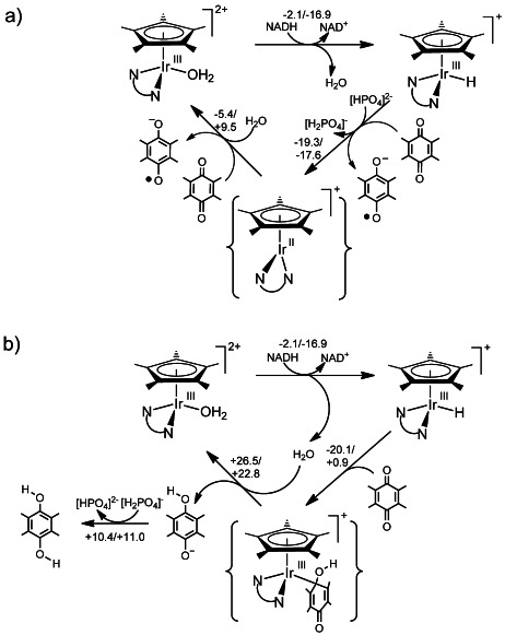 Scheme 3