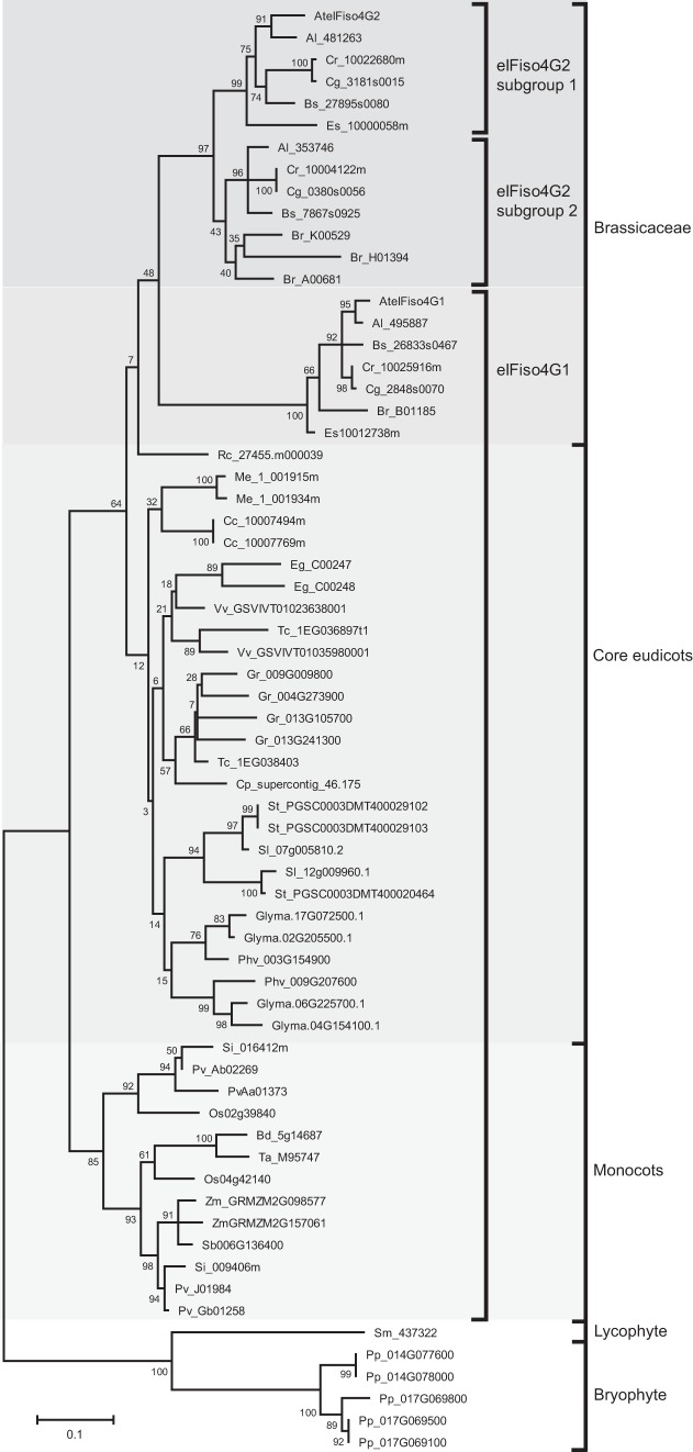 FIGURE 4.