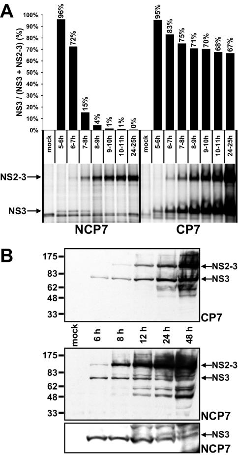 FIG. 5.