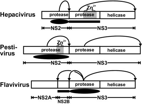 FIG. 8.