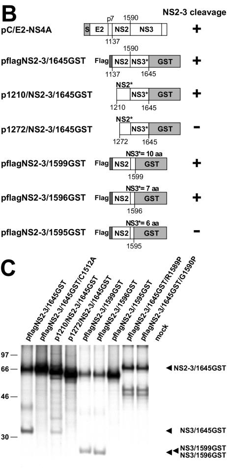 FIG. 2.