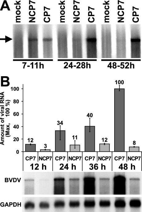 FIG. 6.