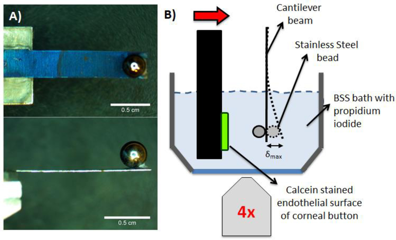 Figure 1: