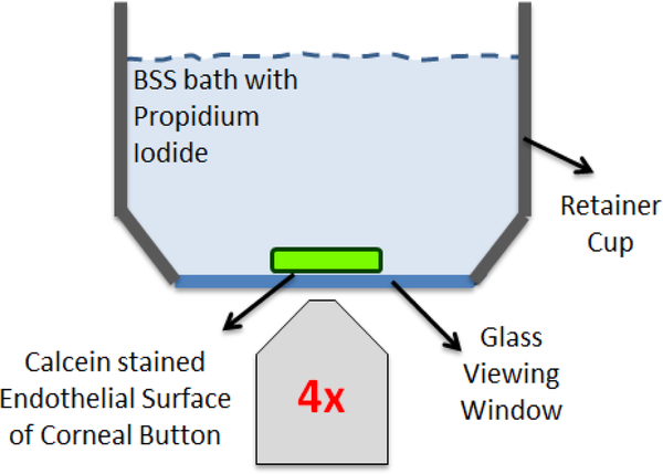 Figure 3: