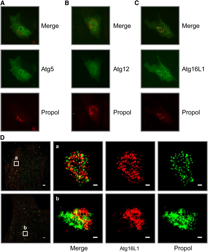 Figure 6