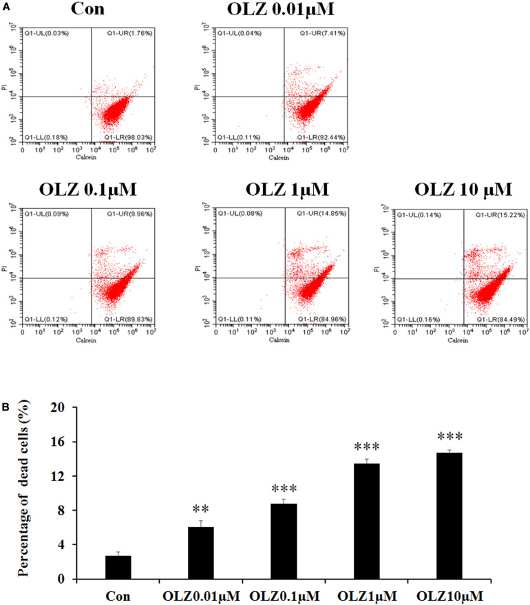 FIGURE 3