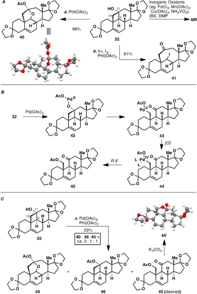 Scheme 5