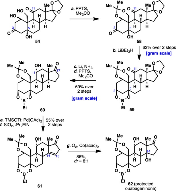 Scheme 7