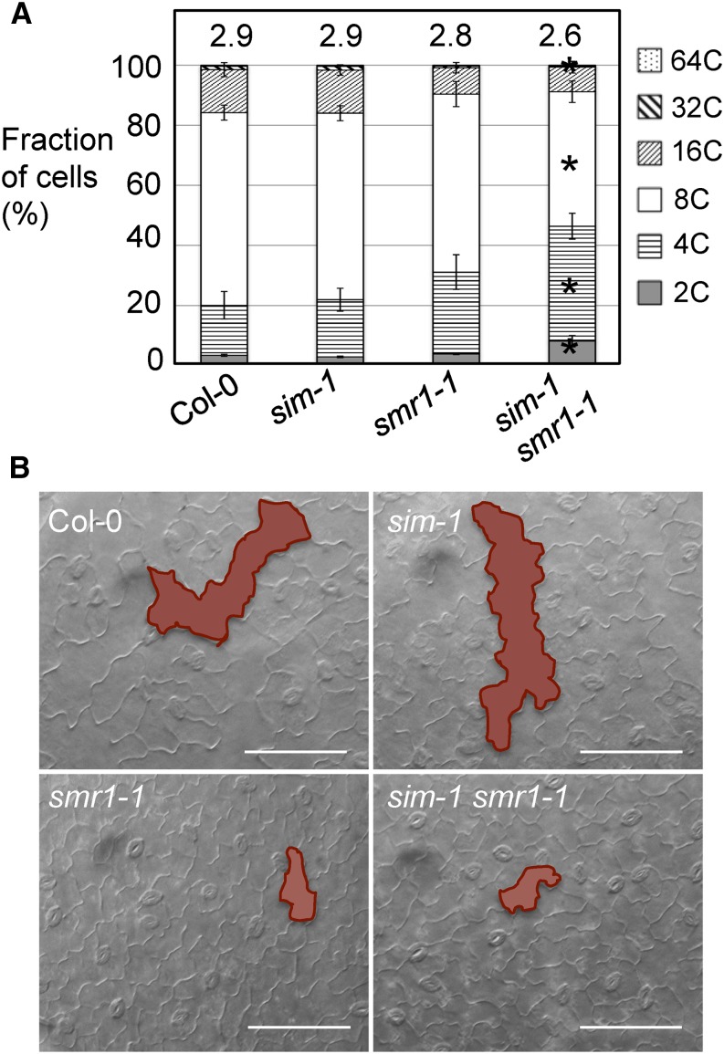 Figure 2.