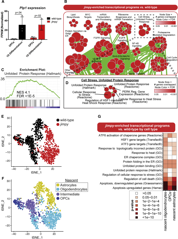 Chemical Screening Identifies Enhancers of Mutant Oligodendrocyte Survival and Unmasks a Distinct Pathological Phase in Pelizaeus-Merzbacher Disease.