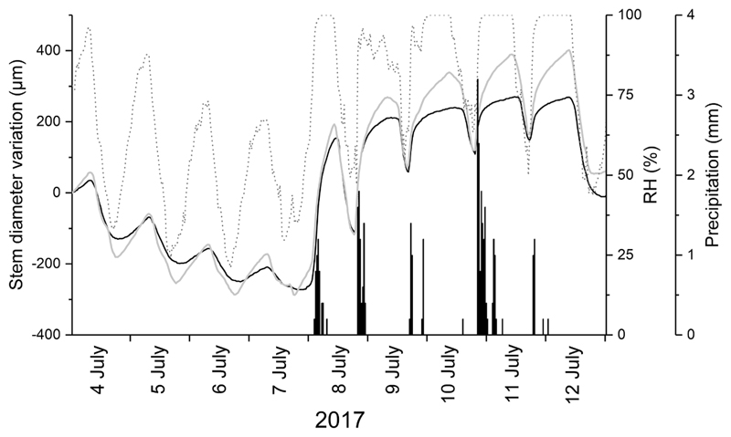 Fig. 2