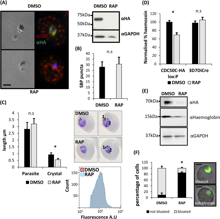 FIG 6