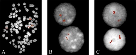 Figure 2.