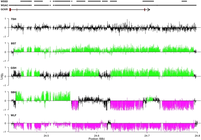 Figure 5.