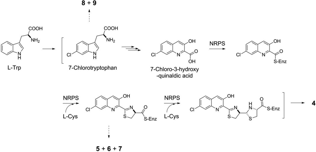 Figure 5