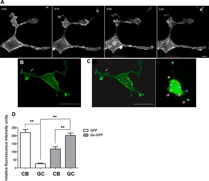 FIGURE 2.